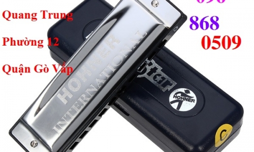 các loại kèn harmonica giá rẻ ở gò vấp 