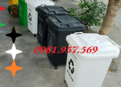 Thùng rác y tế 60l, thùng rác công cộng 60l