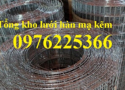 Lưới Thép Hàn Mạ Kẽm D2, 2D2,5, D3,D4,hàng sẵn kho giá tốt tại Hà Nội