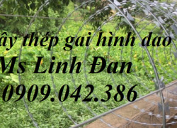dây thép gai hình dao mạ kẽm, dây thép gai hình dao inox, dây thép gai