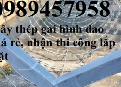 Nhận thi công lắp đặt hàng rào thép gai hình dao, Dây thép gai tròn