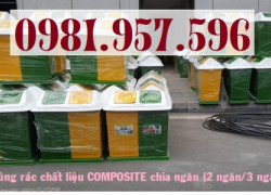 Thùng rác hình mái chia ngăn, thùng rác nắp lật chia ngăn