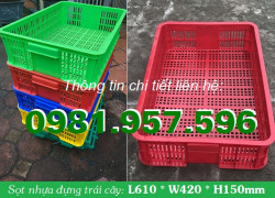 Thùng nhựa lỗ, thùng nhựa rỗng cao 15cm, thùng nhựa hở