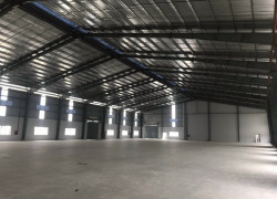 Cho thuê kho xưởng 300 m2, 2000 m2 tại Cần Đước, Long An