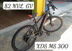 MS 300 xe đạp trợ lực điện giá tốt - hàng chính hãng