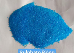 Sulphat đồng dùng trong nuôi trồng thủy sản