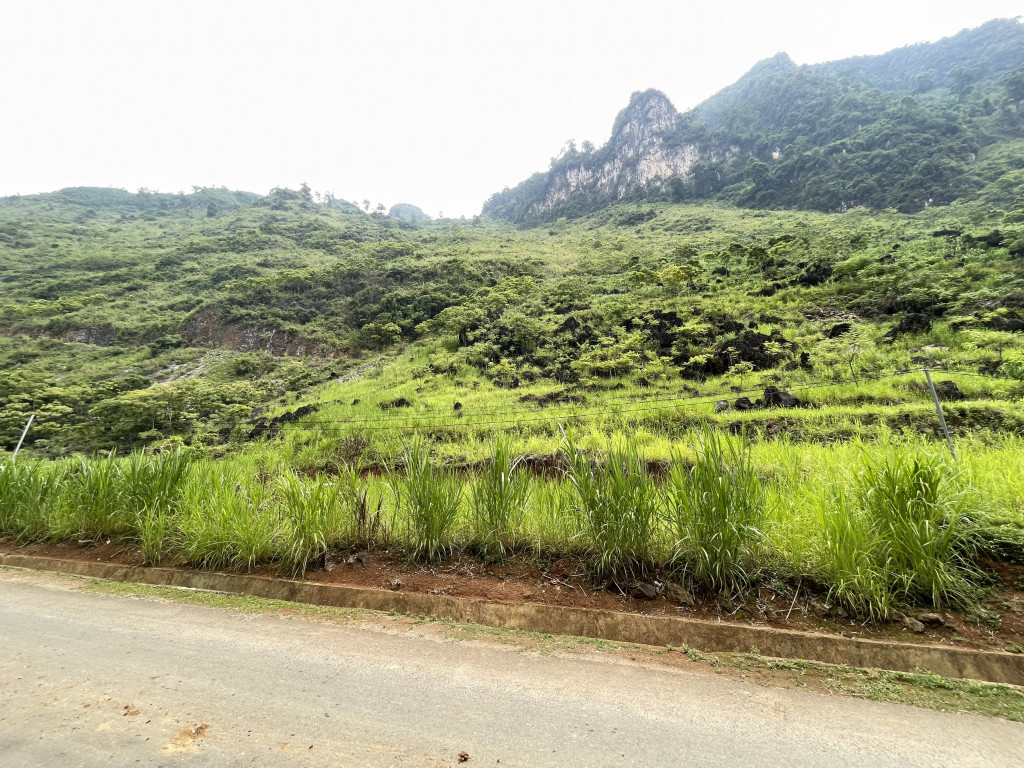 Mảnh đất diện tích rộng tại Quản Bạ thích hợp đón sóng cao tốc Tuyên Quang - Hà Giang