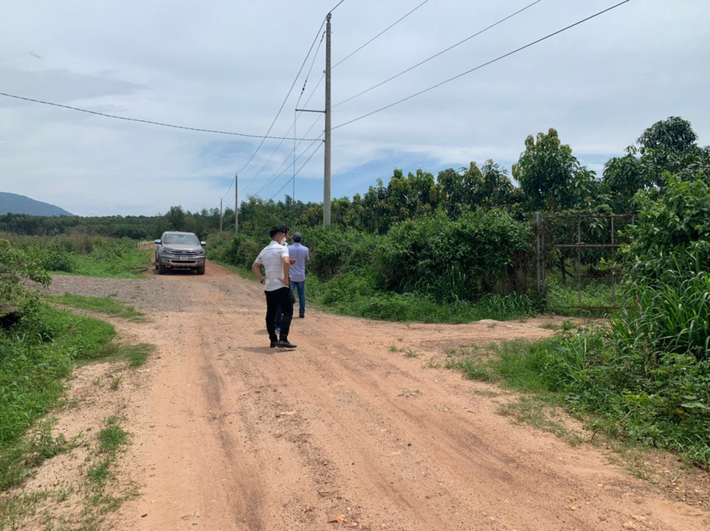 Chính chủ cần bán gấp hơn 5 sào tại Xuân Lộc gần nút giao cao tốc Dầu Giây -Phan Thiết