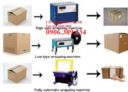 Máy đóng đai thùng carton bán tự động EX-100 Wellpack Đài Loan