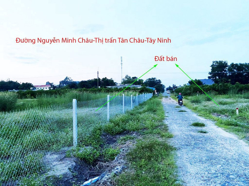 Mua bán đất TÂY NINH, Thị trấn Tân Châu, DT 100m2, ngang 6m, sổ đỏ xây dựng tự do. 600tr
