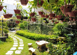 Bán nhà vườn tại Tân Thành, Dương Kinh, Hải Phòng