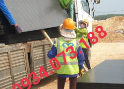 Ván coffa, ván khối, ván phủ phim tại Thủ Thừa, Đức Hòa tỉnh Long An
