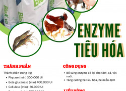 Biok - Enzyme tiêu hóa Biok ( dùng cho thủy sản và vật nuôi)