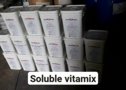Soluble Vitamix của Mỹ bộ hỗn hộp vitamin cho vật nuôi