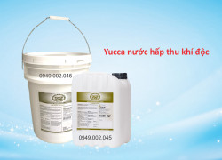 Yucca Star Liquid - Yucca nước nhập khẩu Mexico chính hãng