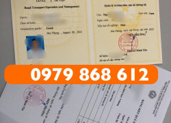 CHỨNG CHỈ SƠ CẤP CHUYÊN NGÀNH VẬN TẢI HỌC ONLINE TOÀN QUỐC