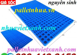 Pallet lót sàn không chân 600x1000x35mm - mặt lưới - nhựa nguyên sinh - màu xanh dương