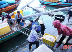 Hà Tĩnh phấn đấu đạt hơn 53.300 tấn tổng sản lượng thủy sản năm 2022 (08-01-2022)