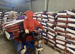 keo con voi,keo nhiệt dán nẹp cạnh gỗ