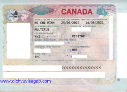 Dịch vụ làm visa Canada tại TPHCM tỷ lệ đậu 99%