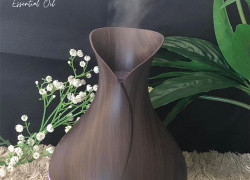 Máy xông tinh dầu và ưu đãi 50%