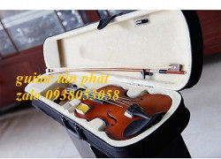 Bán đàn violin giá siêu rẻ tại huyện hóc môn hcm