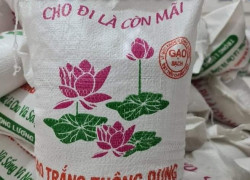 Thuận phương cung cấp các loại bao đựng gạo thường, bao có in các loại gạo