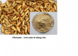 Bán Pluriamin tăng cường sinh lực cho phái mạnh