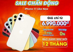 giá cực hấp dẫn iphone 11 like new
