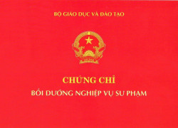 Đào Tạo cấp chứng chỉ NGHIỆP VỤ SƯ PHẠM dành cho giáo viên dạy ngoại ngữ 0972560864
