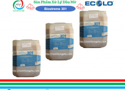 Xử lý dầu mỡ đường ống nhà hàng - Biostreme301 (ecolo)