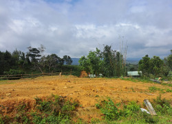 Chính chủ cần bán mảnh đất có view siêu đẹp tại Măng Đen, Kontum