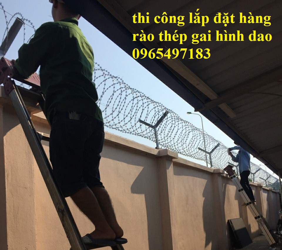 Dây thép gai lưỡi dao mạ kẽm chống gỉ làm hàng rào chống trộm, hàng rào an ninh