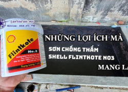 Thông tin về sơn chống thấm Shell Flintkote No3