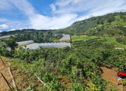 Bán đất hẻm trường sơn xuân trường Đà Lạt chỉ 7,9 tỷ