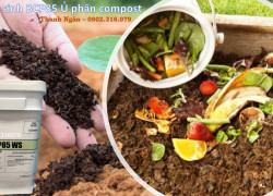 men vi sinh BCP85 (BIONETIX) sử dụng ủ phân Compost