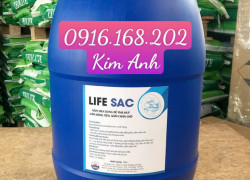 LIFE SAC - NẤM MEN DÙNG ĐỂ PHÂN HUỶ NẤM ĐỒNG TIỀN