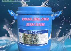 SUPERCID ACID HỮU CƠ