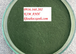 SPIRULINA POWDER – Bột tảo tự nhiên 100% Spirulina platensis