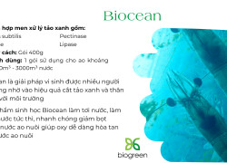 Biocean - Hỗn hợp enzyme xử lý tảo lam an toàn, bảo vệ môi trường