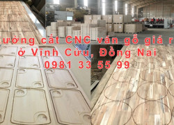 Xưởng cắt CNC ván gỗ giá rẻ ở Vĩnh Cửu, Đồng Nai