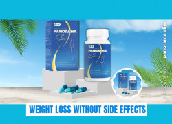 Panorama Slim - Weight loss without side effects