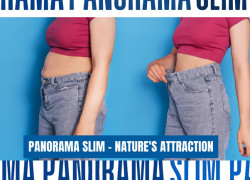 Panorama Slim - Nature's attraction