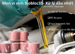 vi sinh dạng khối Biobloc35 xử lý nước thải dầu nhớt