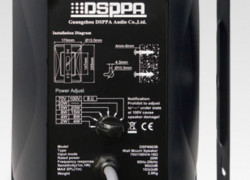 DSPPA DSP8063 Loa gắn tường công suất 30W