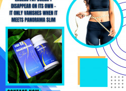 Excess fat doesn't disappear on its own - It only vanishes when it meets Panorama Slim