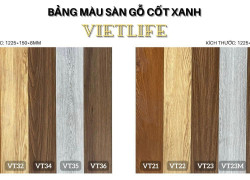 Sàn gỗ cốt xanh Vietlife Fancy