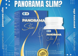 Who can use Panorama Slim?