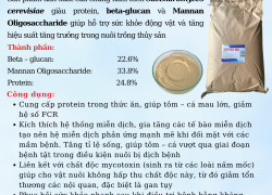 YEAST CELL WALL – Beta-glucan & Mos tăng cường miễn dịch