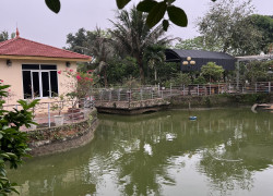 Cần bán khu trang trại và nghỉ dưỡng tại Tiên Hùng, Nguyên Khê, Đông Anh, Hà Nội.